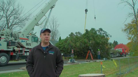 2018 State of Michigan Christmas Tree Harvesting
