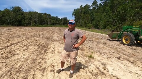 Bad Luck with summer food plots