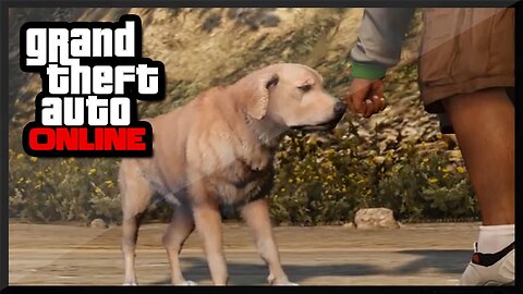 GTA 5 PS4 - LEAKED Pet DLC In GTA V ! (GTA 5 Online Gameplay)