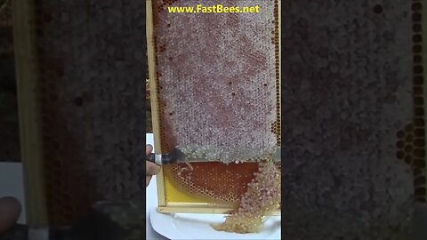 Honeycomb Capping