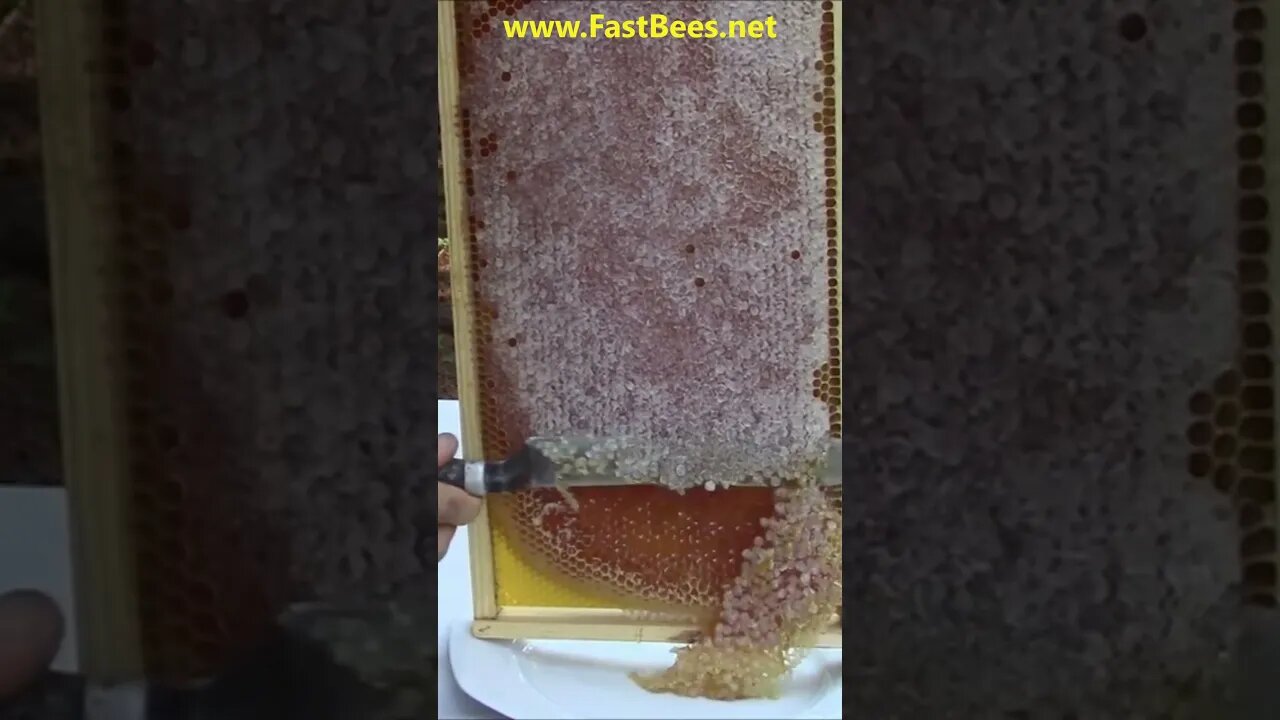 Honeycomb Capping