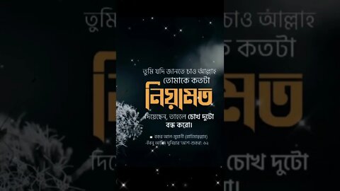 তুমি যদি জানতে চাও, আল্লাহ তোমাকে কতটা নিয়ামত দিয়েছেন? তাহলে চোখ দুটো বন্ধ করো।