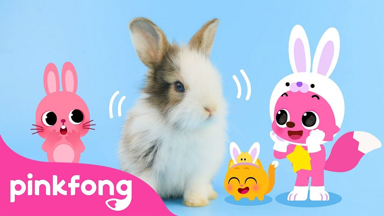 Baby Rabbits Jump! - Cute Rabbit Song - Baby Animals Song - Pinkfong Official for Kids