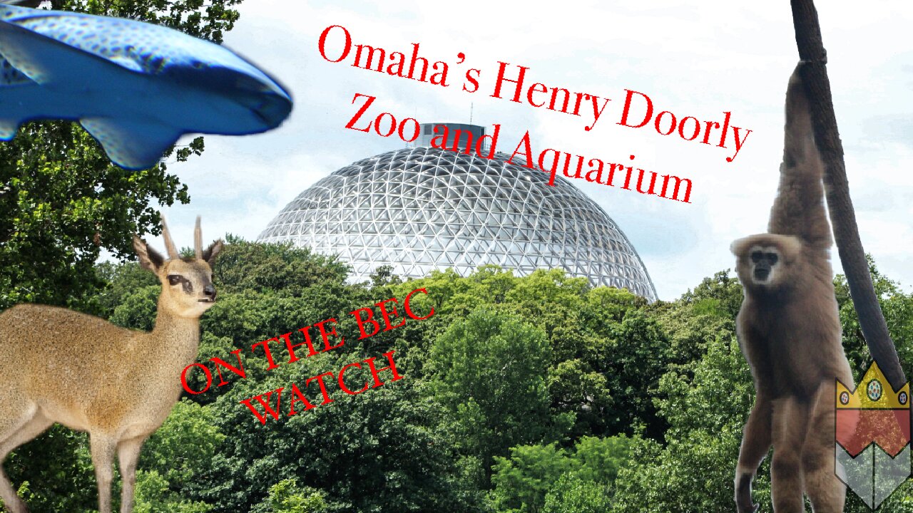 BEC Watch Entries: #2 Omaha's Henry Doorly Zoo and Aquarium