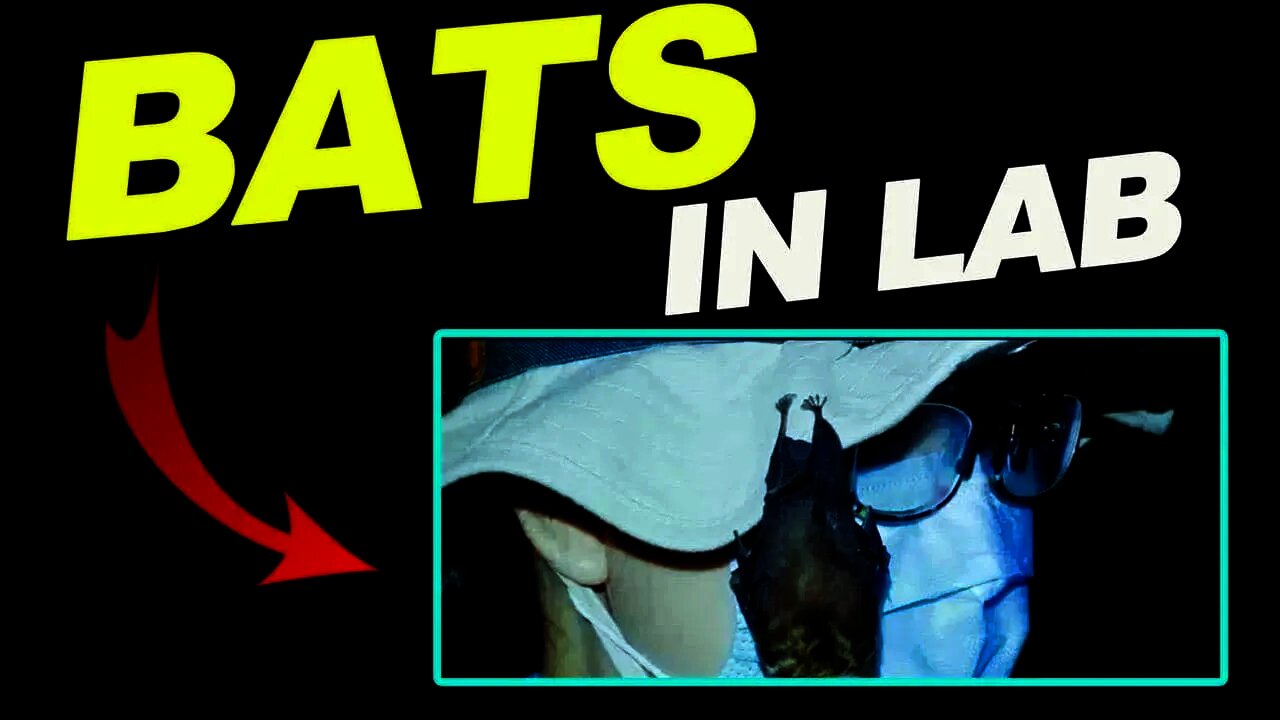 Bombshell Evidence: Live Bats in Wuhan Lab & “Intense Clashes” Between China & France