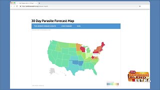 Blend Extra: The 2019 Parasite Forecast