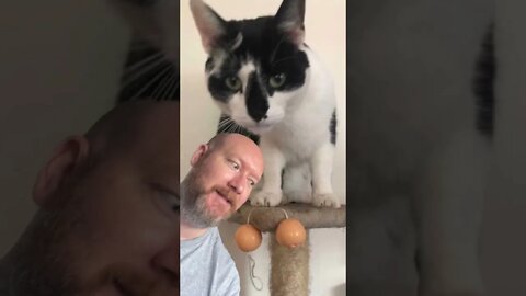 Cat brings in what?!