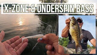 [SHORT] Kawartha Bass | X-Zone Swammers & walking the dog | Remote island camping trip Summer 2021