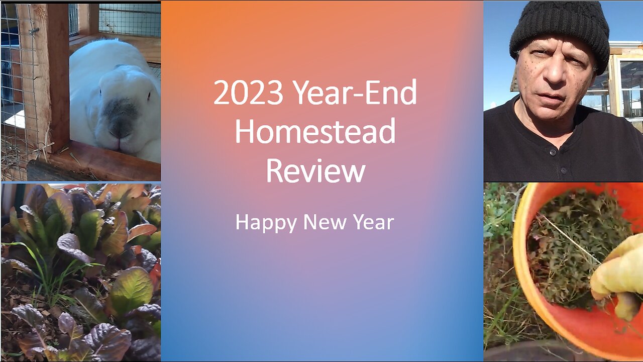 2023 Year-End Homestead Review