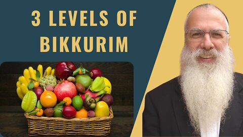 Mishna Bikkurim Chapter 3 Mishnah 10 3 levels of Bikkurim