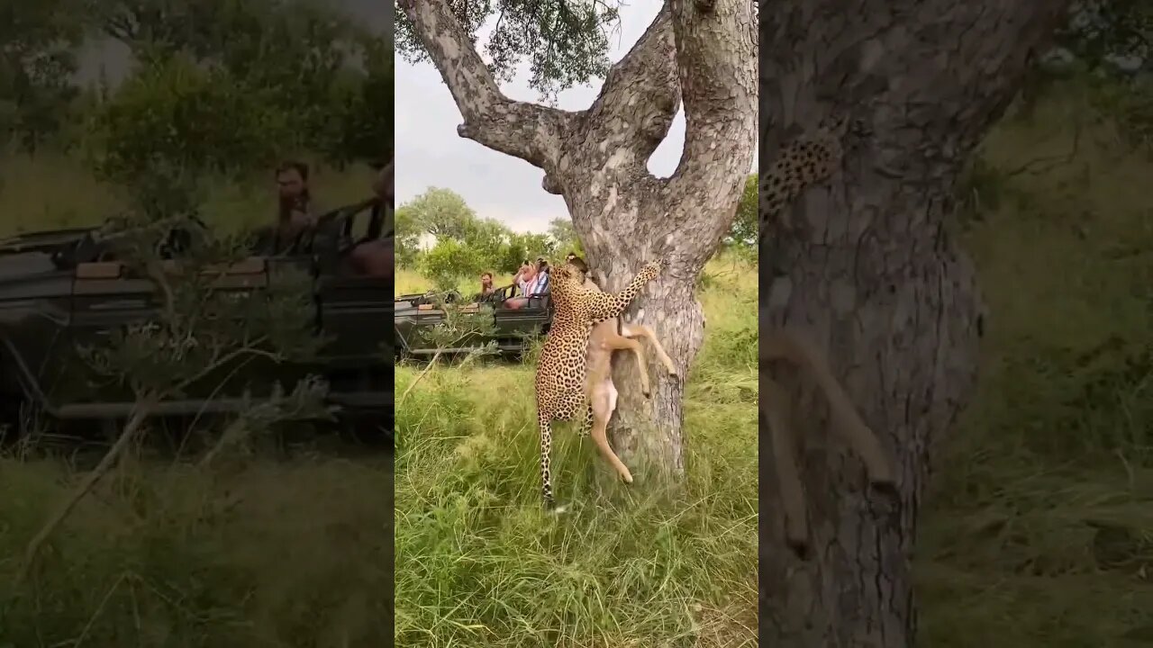 Hunting 😲😲