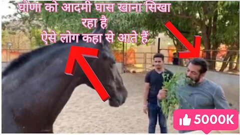 aadami Sikha rahe hain Ghode ko Ghas khilana