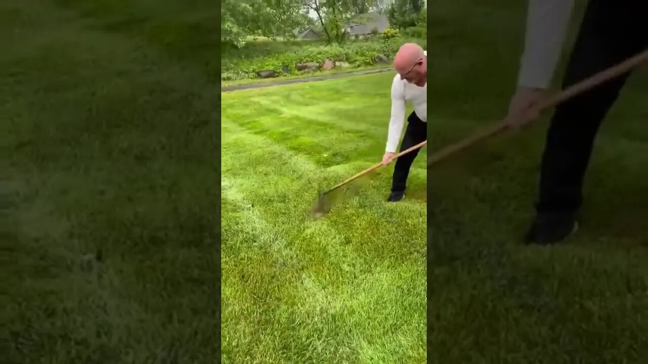 best caption gets pinned