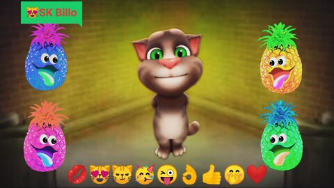 Cat Billu pineapple colorful funny video Sk Billo