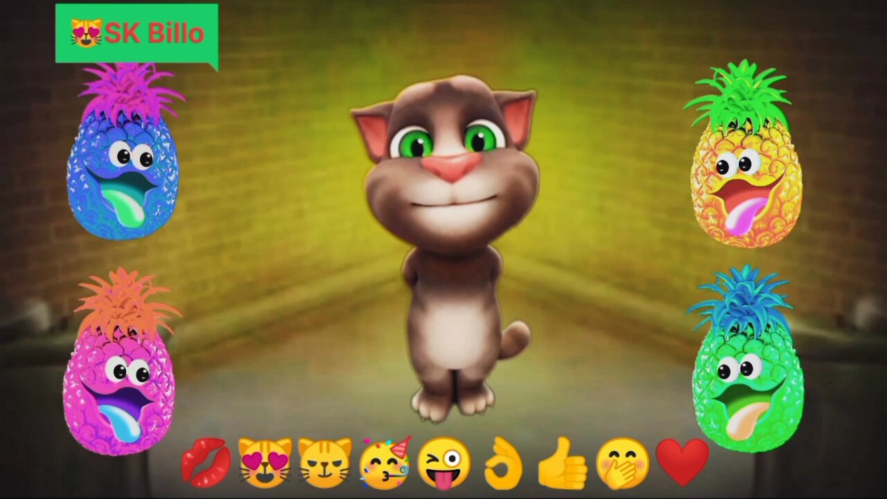 Cat Billu pineapple colorful funny video Sk Billo