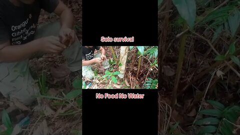 Bushcraft ( survival ) #shorts #asmr #forest #survival #skills #outdoors #Toll Hacks