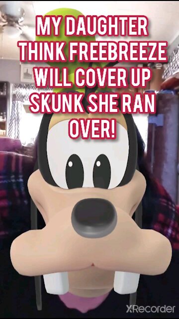 DAUGHTER THINKS FREEBREEZE WILL COVER SKULL SMELL IN HER CAR.