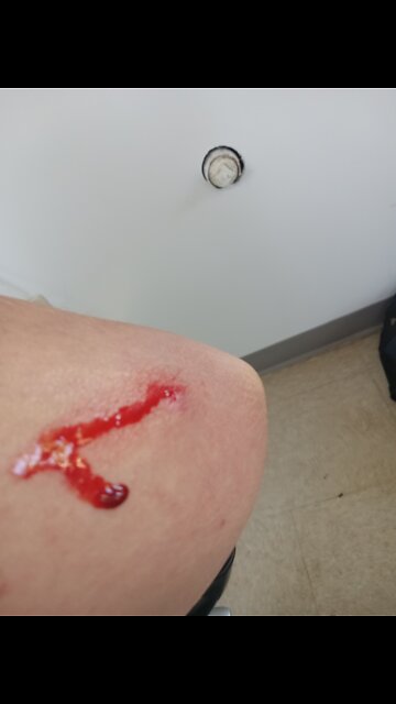 Exactly what comes out of Joe Biden's mouth