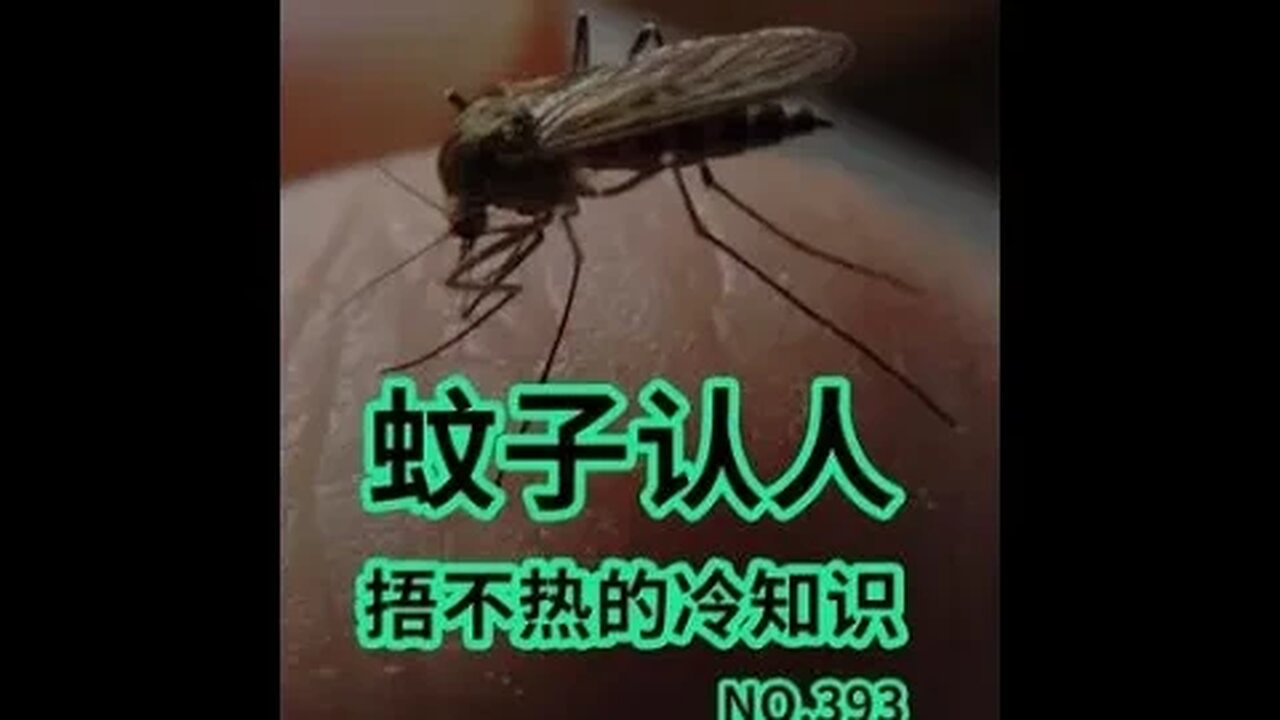 蚊子不是臉盲,它也會認人啊!#蚊子#冷知識#奇葩冷知識 #shorts