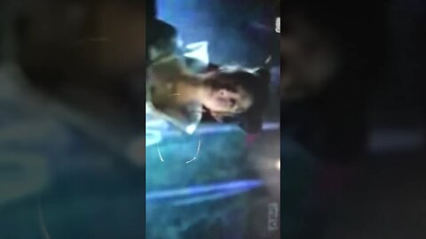 CLIP DRAGON PRINCESS -- FRANSISCA SIM
