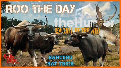 KANGAROO 🎯 Challenge - w/308 - Rains Banteng - Diamond & Rare Hunting - theHunter: Call of the Wild