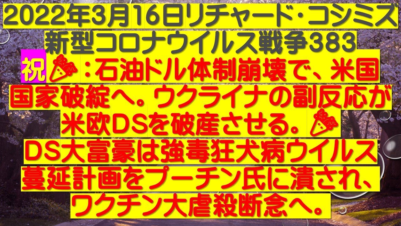 2022.03.16 リチャード・コシミズ新型コロナウイルス戦争３８３