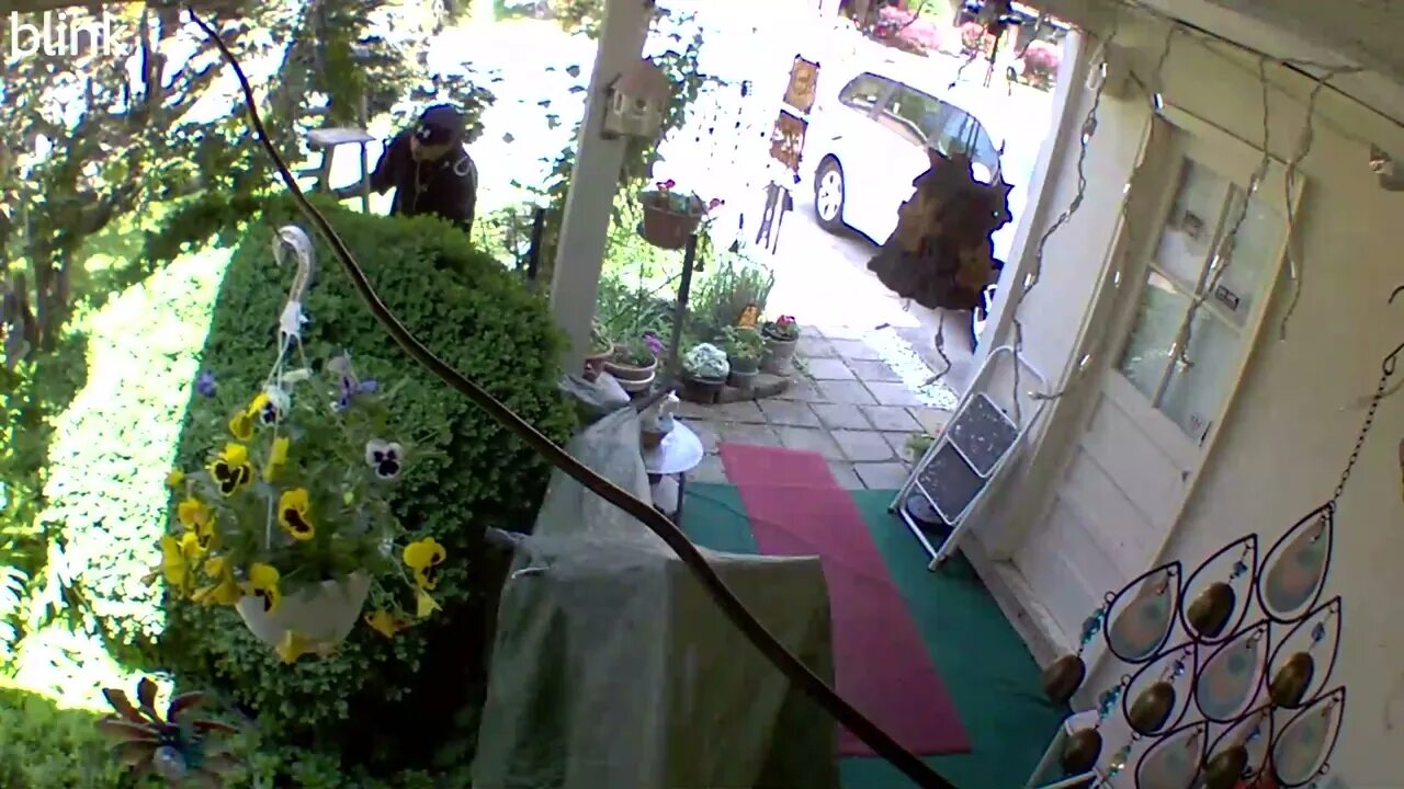 NORTH_VIDEO_DOOR_BELL_2023-05-18T11_35_48-0400.mp4