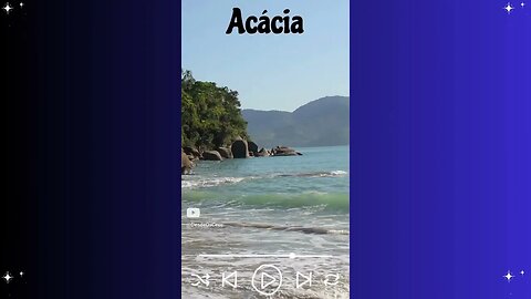 Acácia | עץ השיטה | #Israel #Brasil #Hebraico