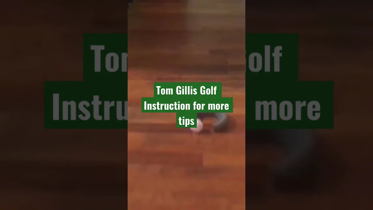 Tom Gillis,PGA using the EyePutt Mirror with the Cat! #golf #puttingmirror #tomgillisgolf