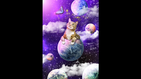 We meow mew fur in space 😎