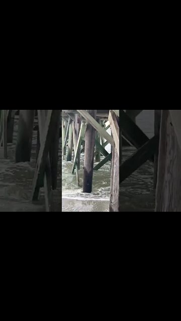 Waves By The Pier at Isle of Palms, SC