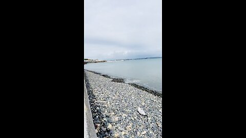 Penzance Beach