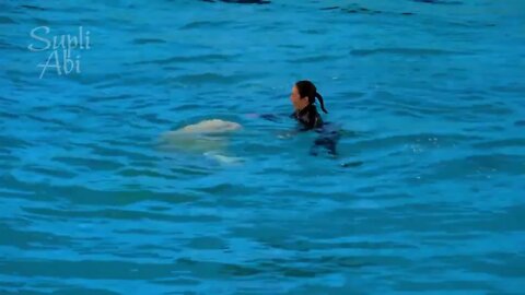 Beluga Whale Show At Yokohama Hakkeijima Sea Paradise