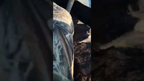 The first swing and a miss for my buddy lol!! we got em though 🤪