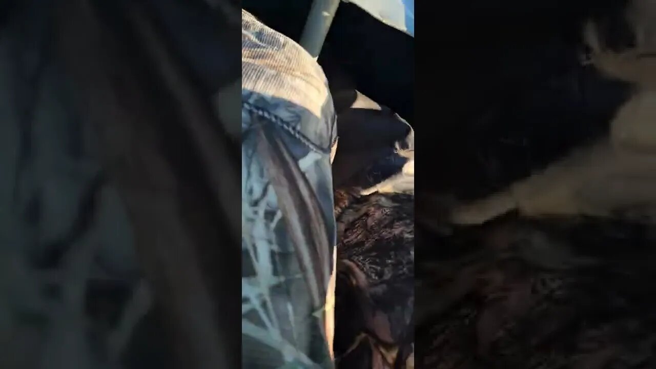 The first swing and a miss for my buddy lol!! we got em though 🤪