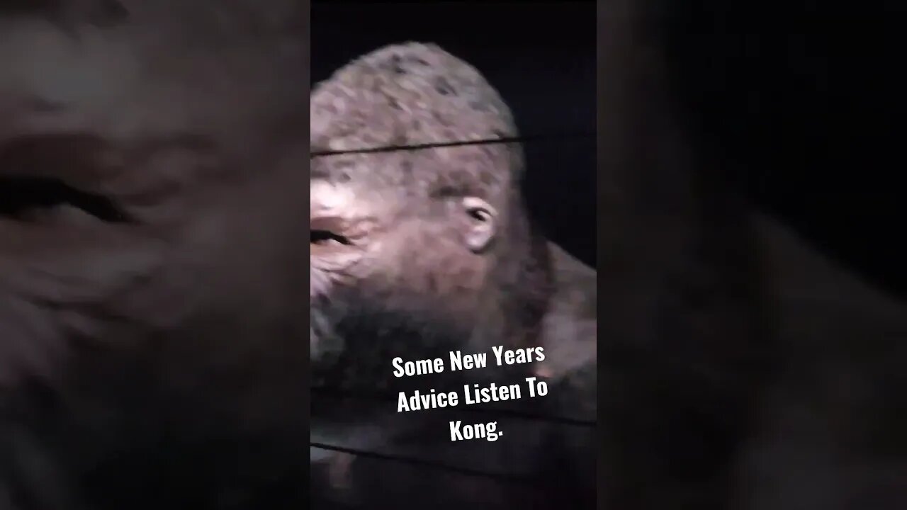 Kong Has Some Interesting Advice For The New Year...What Do You Think Ladies.