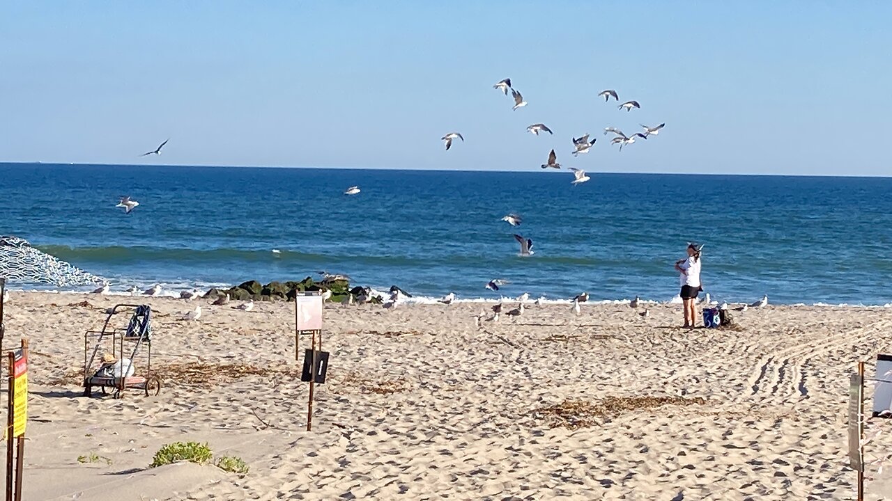 Walking Queens: Fort Tilden & Jacob Riis (Gateway NRA)