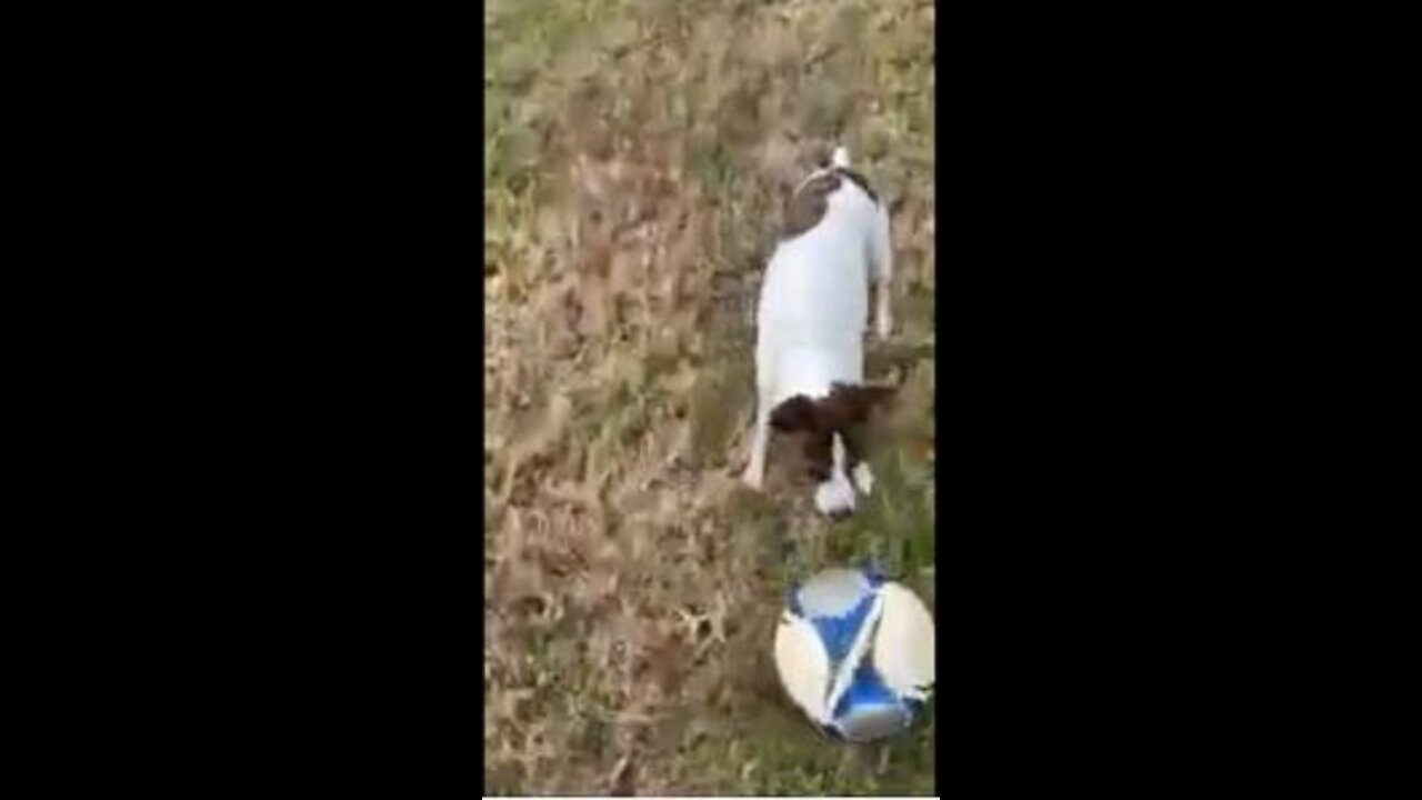 Princess loves the soccer ball