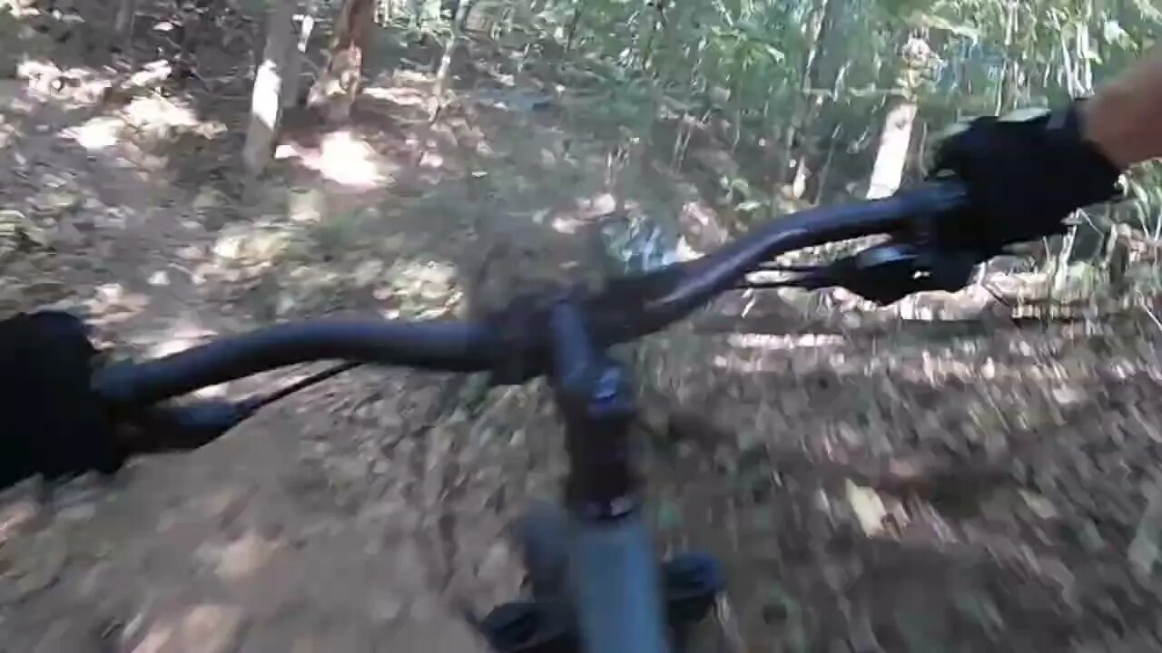 Exploring The Simulation On a Hard Tail #mountainbiking #ozarktrail