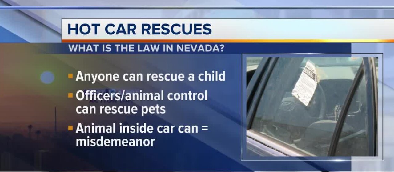 Know the law for rescuing pets/children