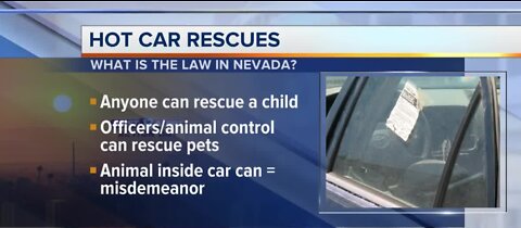 Know the law for rescuing pets/children