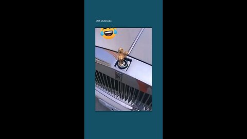 🤣