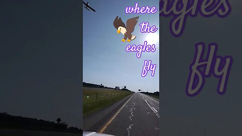 Crop Dusters Eat Fear for Breakfast and then Soar With the Eagles #shorts #cropduster