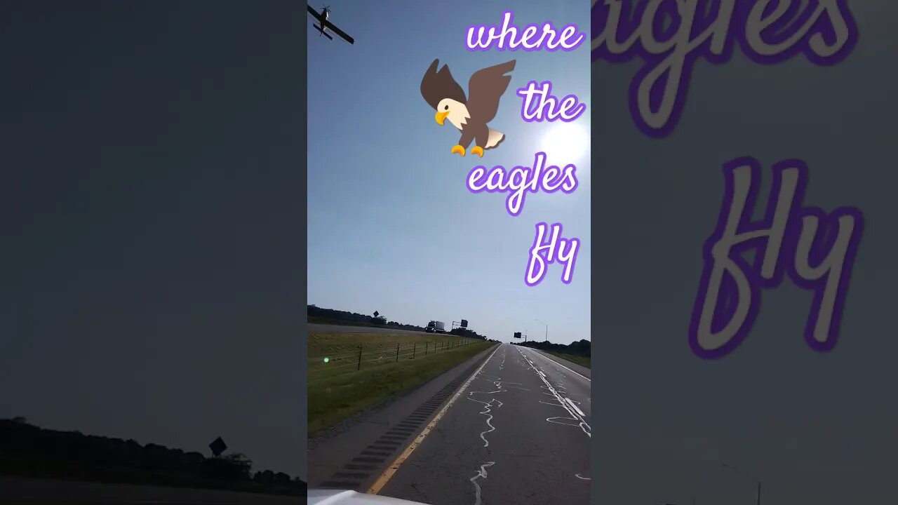 Crop Dusters Eat Fear for Breakfast and then Soar With the Eagles #shorts #cropduster