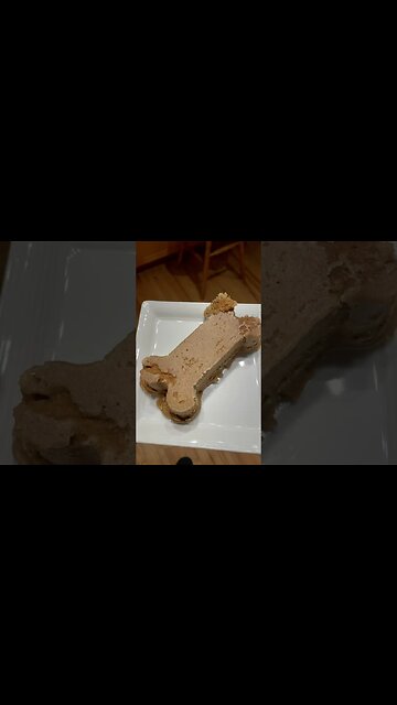 My Dog Rocket’s 1 year Birthday | 1 year Adoption Anniversary