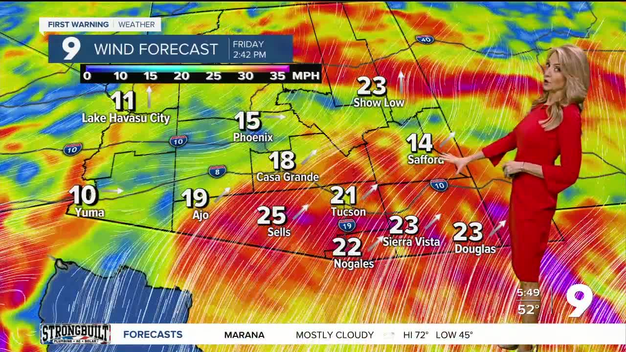 Warmer and windy for a few days