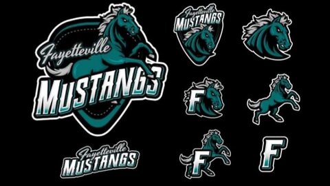 Welcome to the National Arena League Fayetteville Mustangs