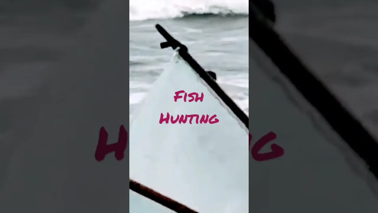 Fish Hunting