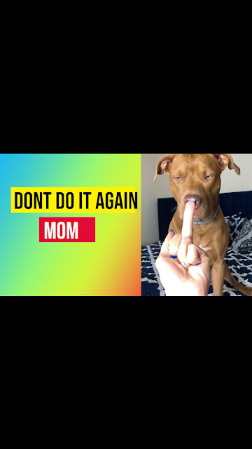 Stop Mom don't do it again
