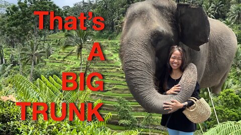 She Paid $25 to See a Big Trunk